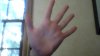 hand.jpg