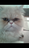 Screenshot_2015-05-12-18-07-04.png
