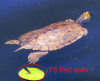 upload_2015-5-13_21-50-14.png