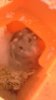 20150513_142546.jpg