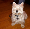 upload_2015-5-18_21-51-43.png