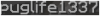swag.PNG