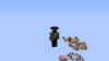 Pirate hat.png
