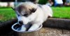 upload_2015-6-3_7-27-1.jpeg