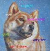 snow-doge-portrait.jpg