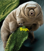 upload_2015-6-9_16-26-25.png