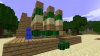 Cactus%20Farm%20-1_272278.jpg