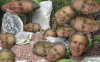upload_2015-6-26_8-46-24.png