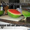 ooh-holy-watermelon_fb_906143.jpg