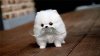 upload_2015-7-6_22-50-20.jpeg