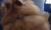 upload_2015-7-8_19-27-31.png