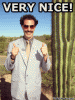 NICE.gif