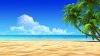 download (13).jpg