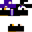 penguin skin.png