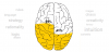 Brain.PNG