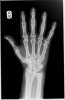 my hand2.jpg