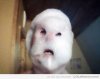 Funny_Pictures_a-friend-s-dad-learned-how-to-take-selfies-and-sent-this-to-her-he-s-65_13570.jpeg