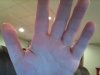 Snapshot_20140213_2.JPG