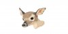 Completed Fawn Jpeg Image.jpg