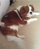 upload_2015-8-17_17-11-37.png