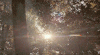 tumblr_nry9kyrXFk1ric1f8o6_250.gif