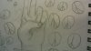 WIN_20150907_14_00_20_Pro.jpg