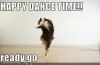 1305922098979_happy_dance-s499x329-342557.jpg