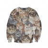 catjumper.jpg