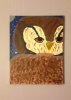 Nighttimeowl446.jpg