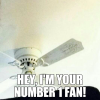 71385646-11c2-4bea-8082-629bd4ce6ec0.png