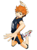 Shoyo_Hinata_Cover.png