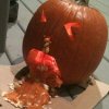 Pumpkinl_opt.jpg