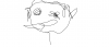 some thing.png