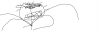 chickenbits_.png