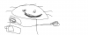 yoshi.png
