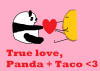 Taco and Panda.png