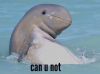hehe.png
