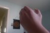 Photo on 11-8-15 at 11.38 AM #2.jpg