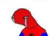 image.jpeg