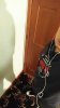 20151120_174220.jpg