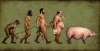 upload_2015-11-30_21-47-33.png