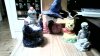 WIN_20151217_19_35_28_Pro.jpg