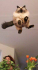 20151220_121246.png