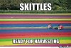 taste-the-rainbow_o_2163133.jpg