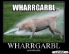 hot_weird_funny_amazing_cool2_random-funny-hilarious-asc-8_2009072609230214389.jpg