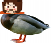 Not half-life 3.png