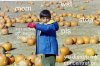 downloadfile-3.jpg