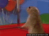 image.gif