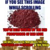 1451567909785.jpg