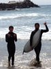 Surf is up.jpg